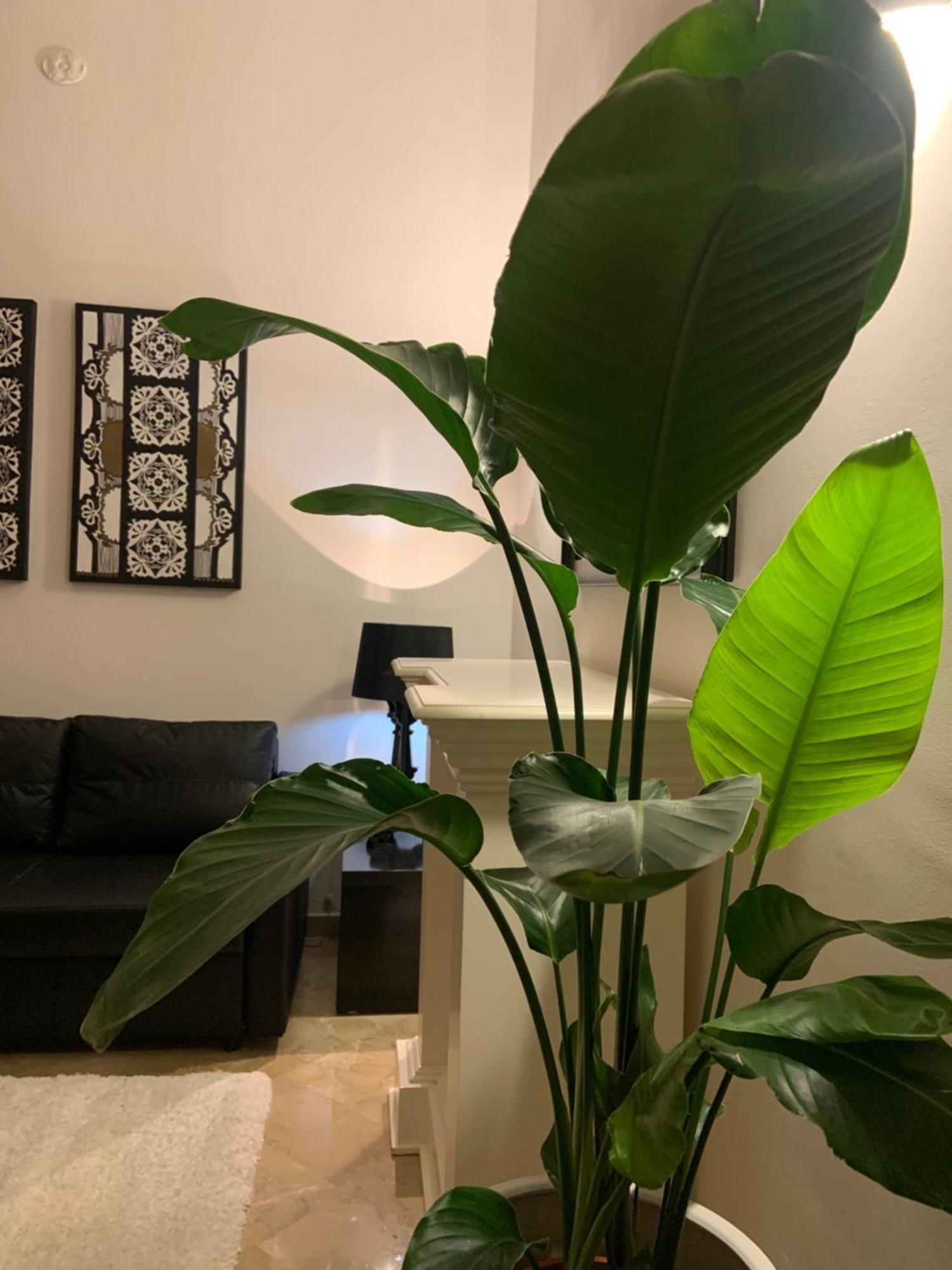 Bari Downtown Luxury Apartment Zewnętrze zdjęcie